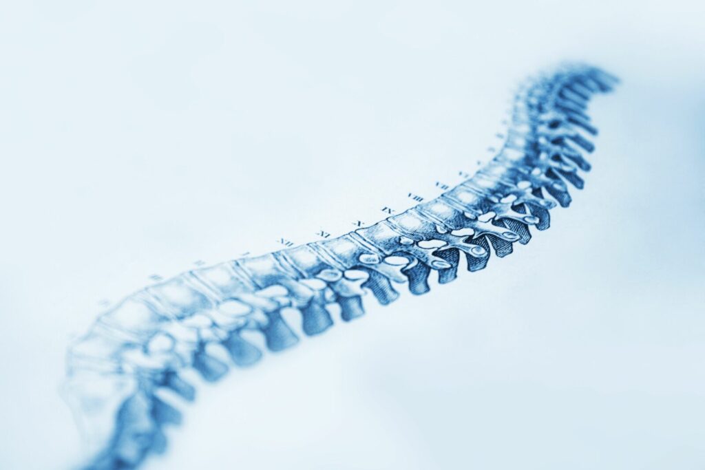 Spinal Cord Injuries and Nerve Damage: Your Legal Options